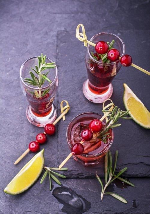 Holiday Cranberry Fizz